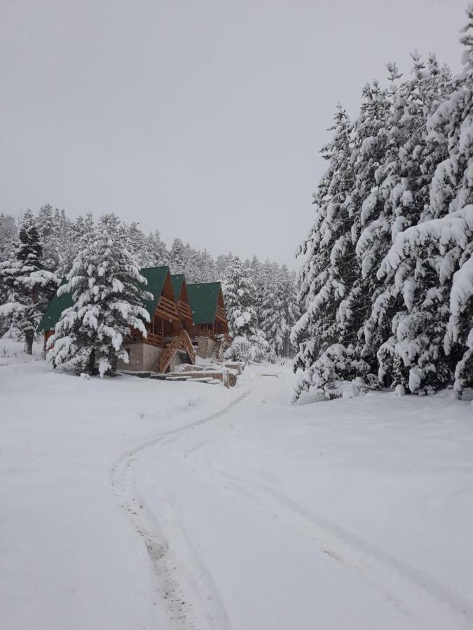 Paradise Zabljak المظهر الخارجي الصورة